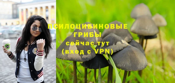 кокаин Алексеевка