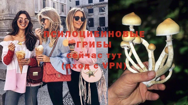 кокаин Алексеевка